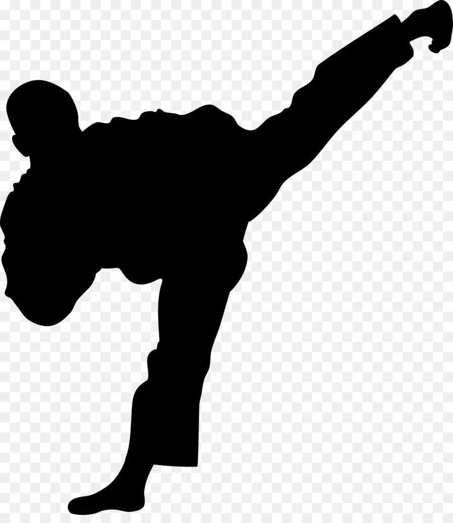 Taekwondo，Las Artes Marciales PNG