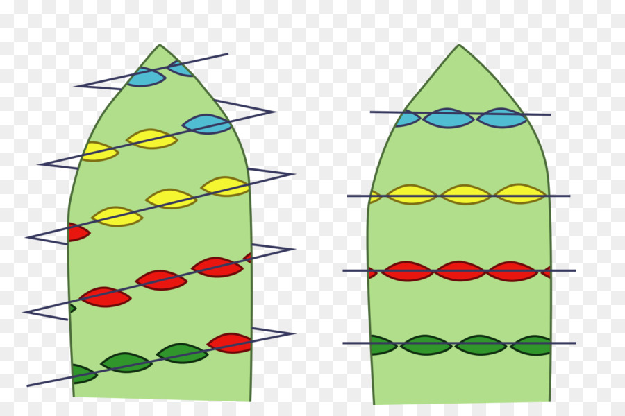 Verticilo，Hoja PNG