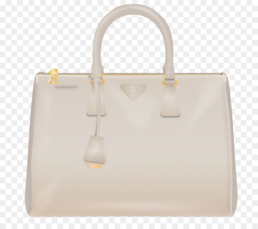 La Bolsa De Asas，Bolso De Mano PNG