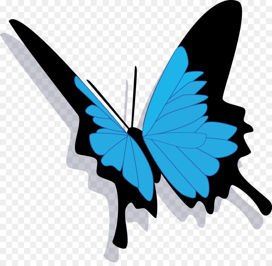 Mariposa Azul Y Negra，Azul PNG