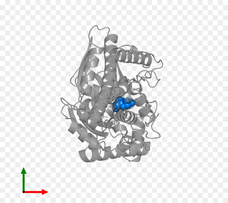 Azul Cobalto，El Cuerpo De La Joyería PNG