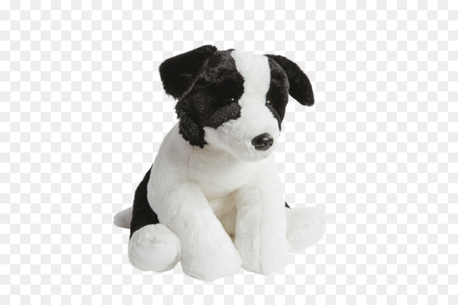 Raza De Perro，Cachorro PNG