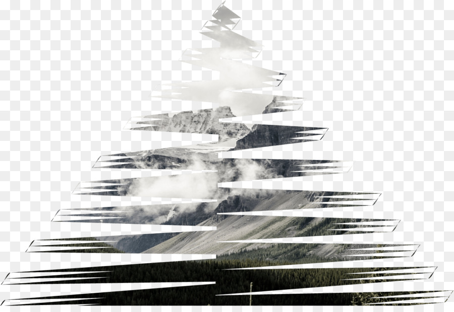 Valor Biológico，árbol De Navidad PNG