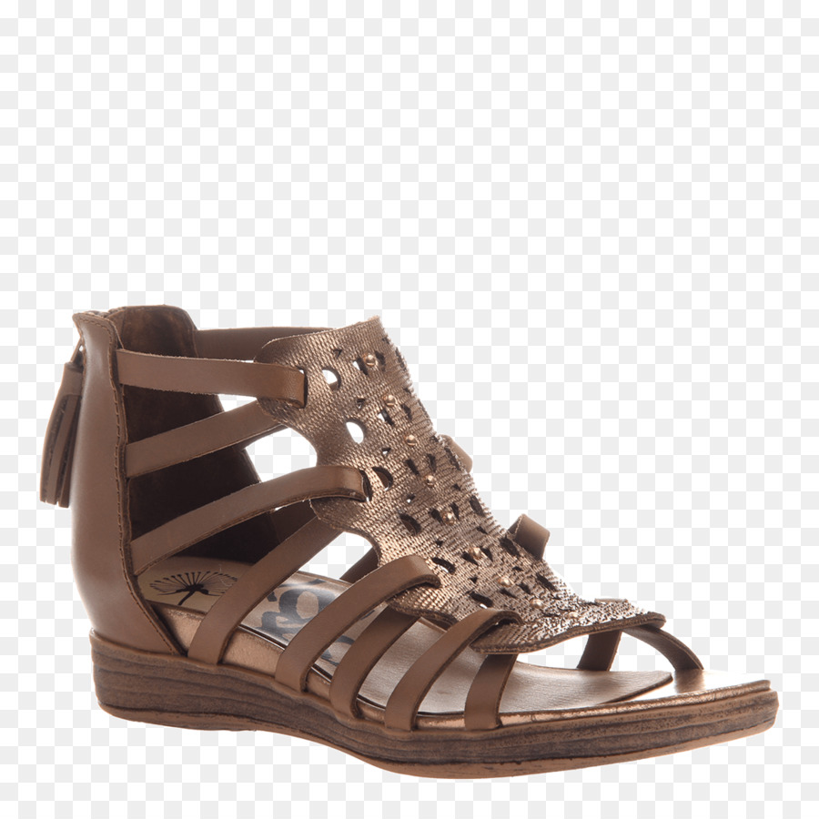 Sandalia，Zapato PNG