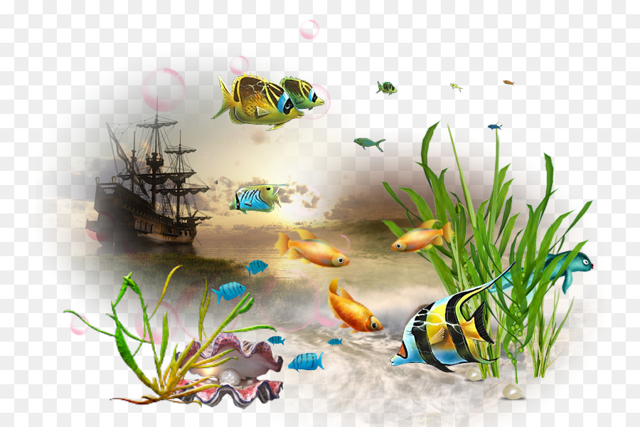 Los Peces，Acuario PNG