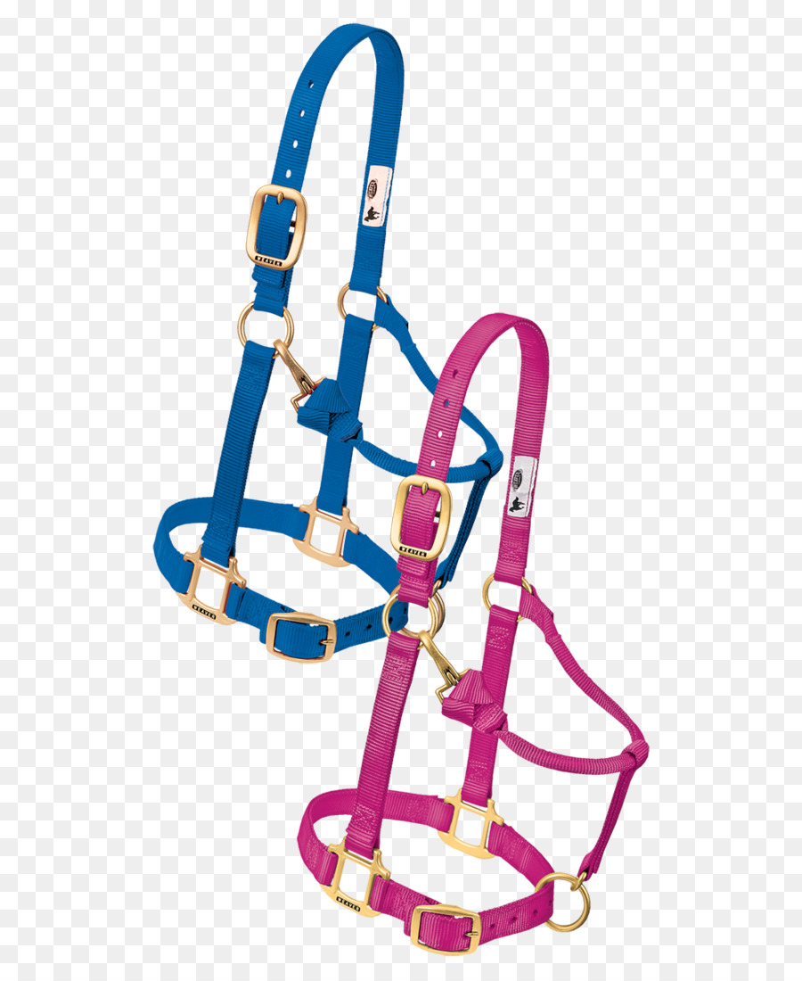 Halter，Nylon PNG