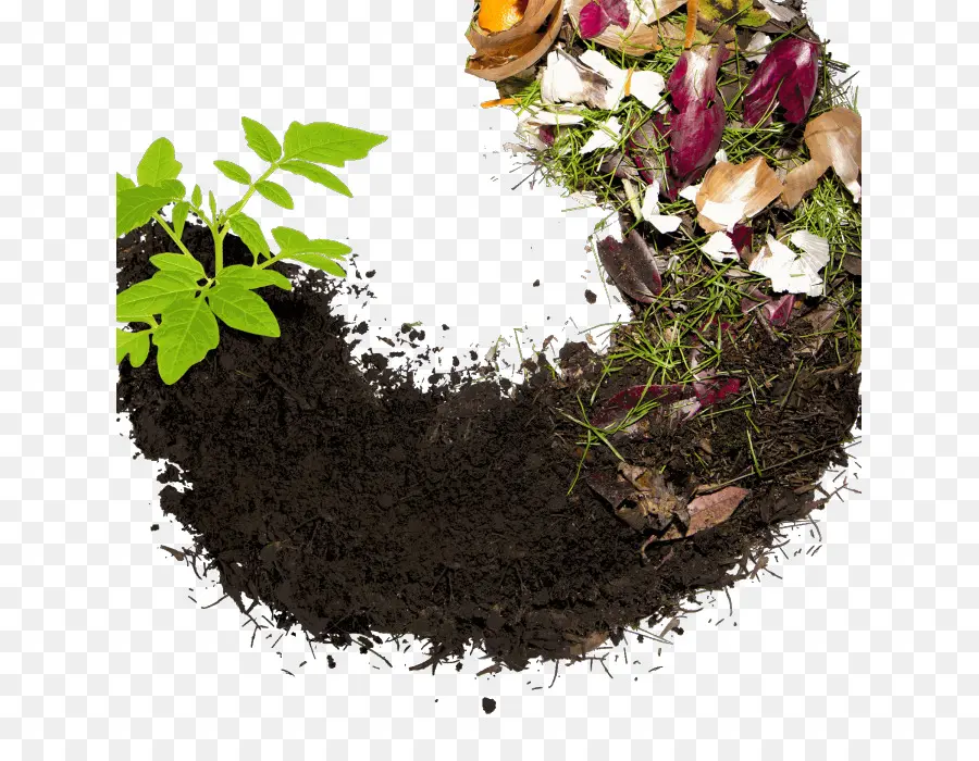 Compost，Reciclaje PNG