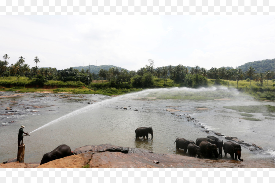 Sri Lanka，Recursos Hídricos PNG