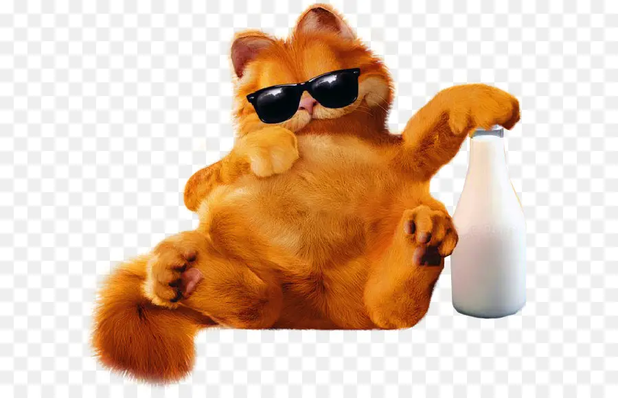 Gato，Gafas De Sol PNG