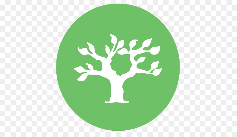 Árbol，Planta PNG