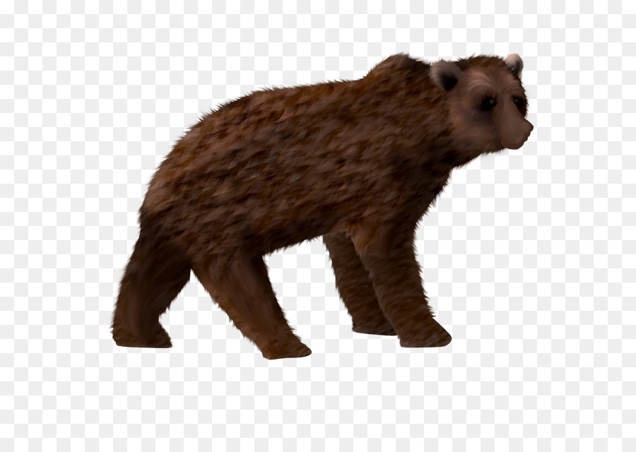 Grizzly Bear，Oso PNG