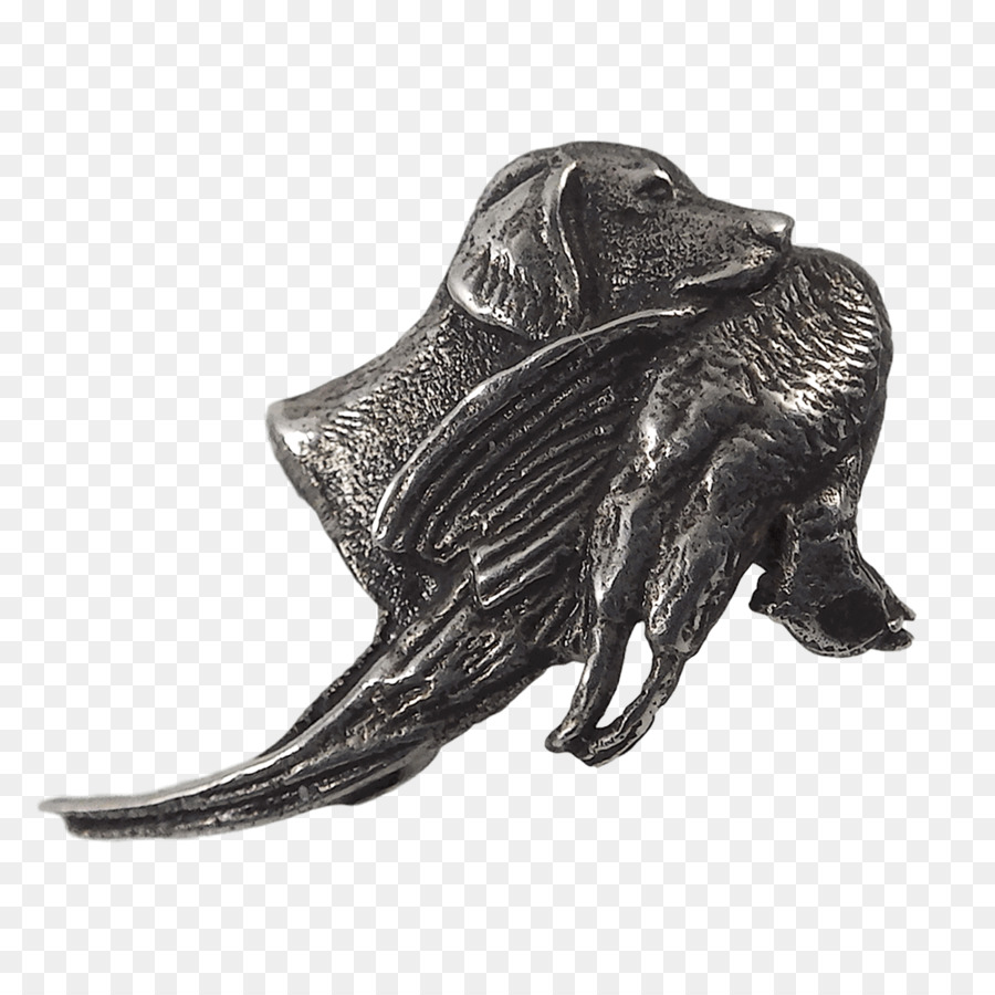 Coyote，Coyote Compañía De Cuero PNG