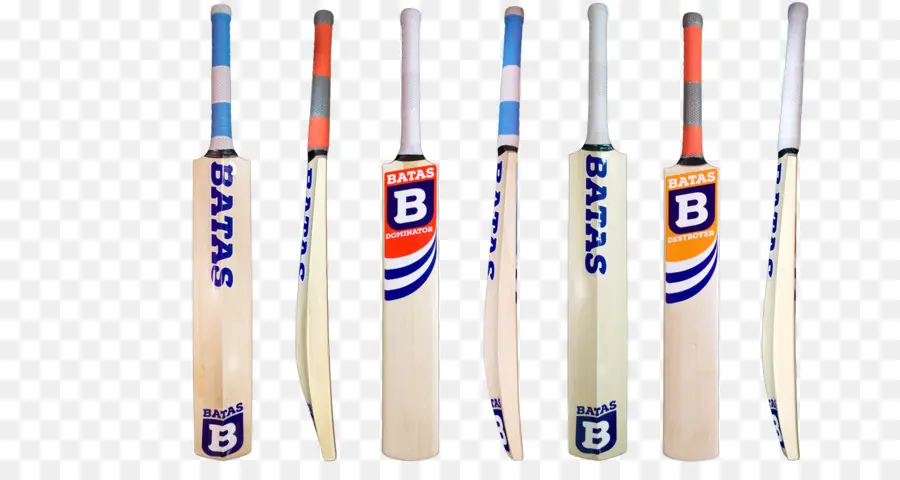 Bates De Cricket，Cricket PNG