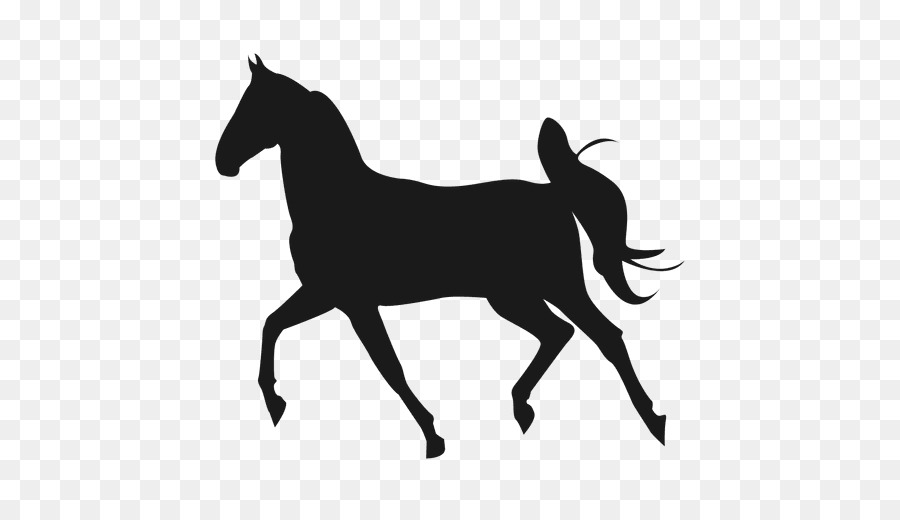 Caballo Negro，Silueta PNG