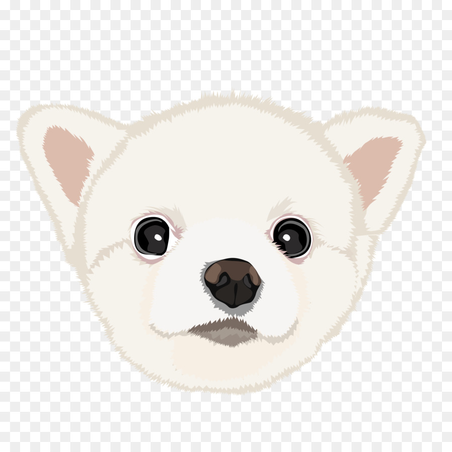 Chihuahua，Cachorro PNG