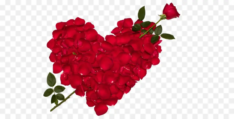 Corazon De Rosas，Amar PNG