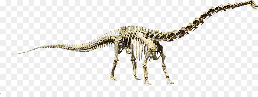 Velociraptor，Jirafa PNG