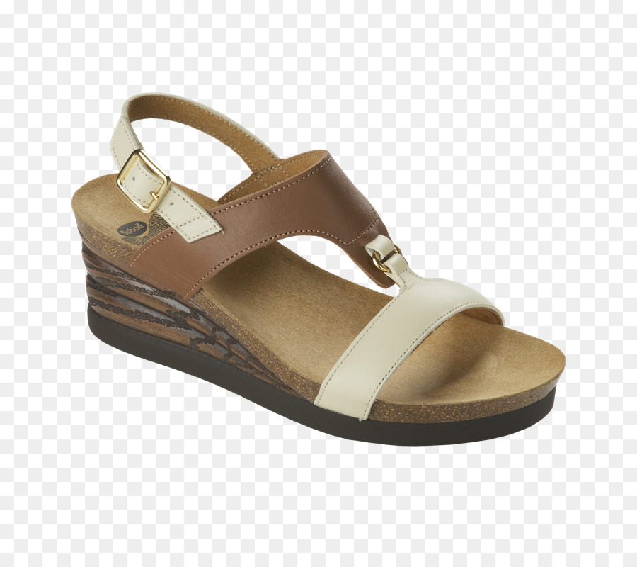 Zapatilla，Sandalia PNG