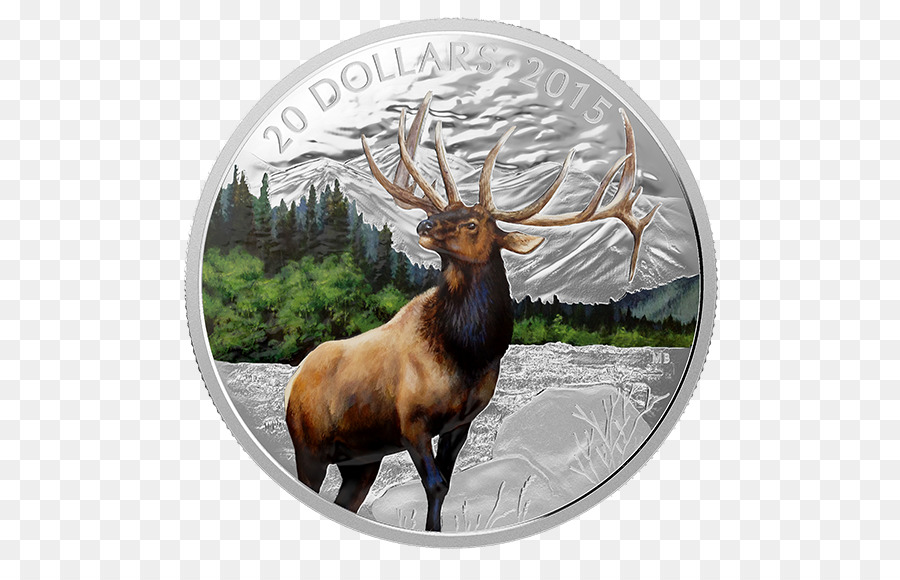 Elk，Los Ciervos PNG