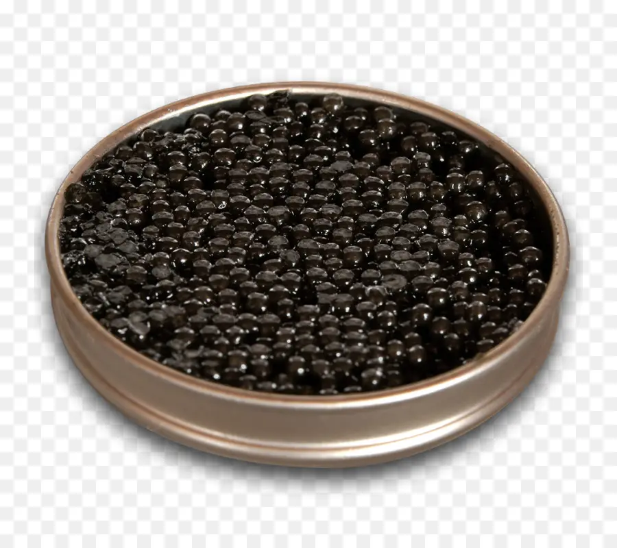 Caviar，Beluga PNG