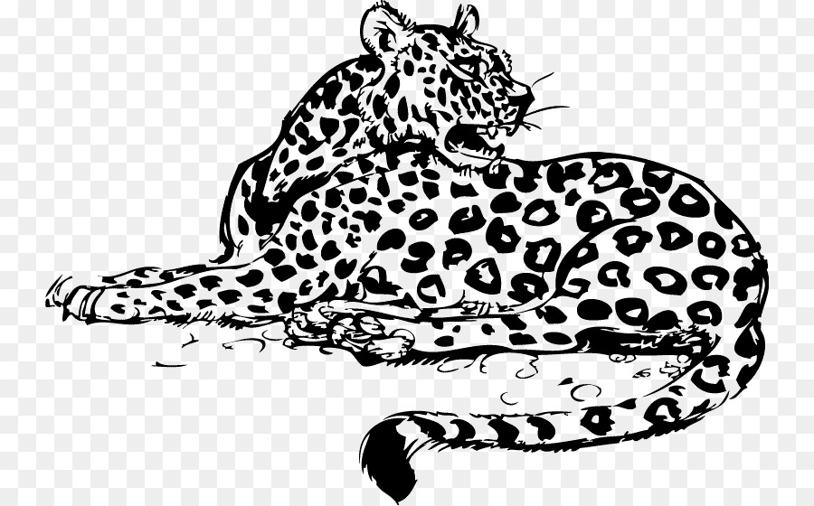 Leopardo，Salvaje PNG