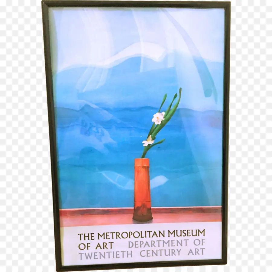 Museo Metropolitano De Arte，David Hockney PNG