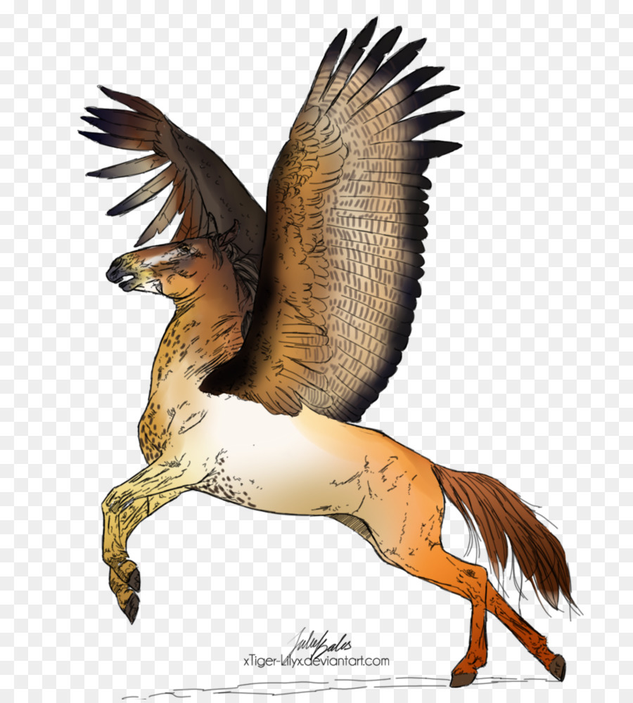 Pato，Perro PNG