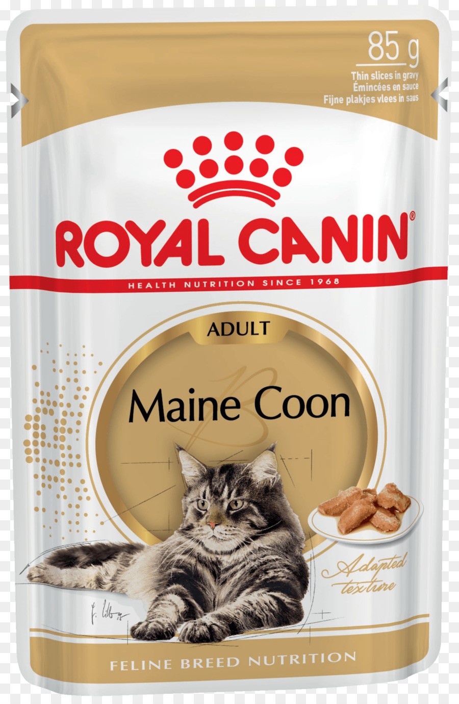 Maine Coon，La Comida Para Gatos PNG