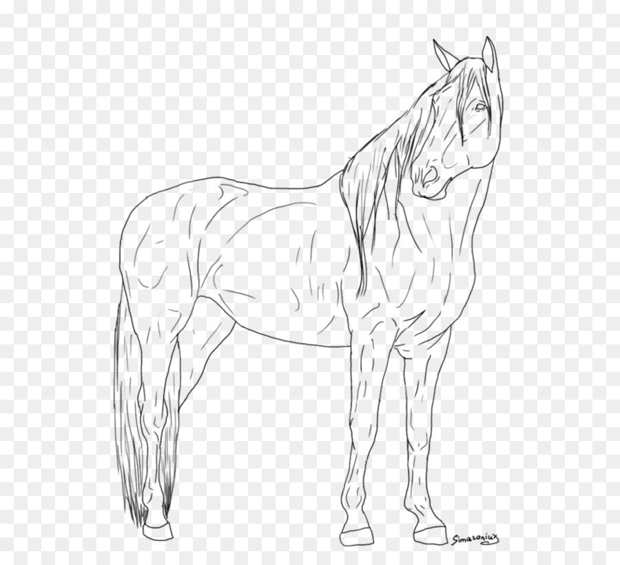 Dibujo De Caballo，Animal PNG