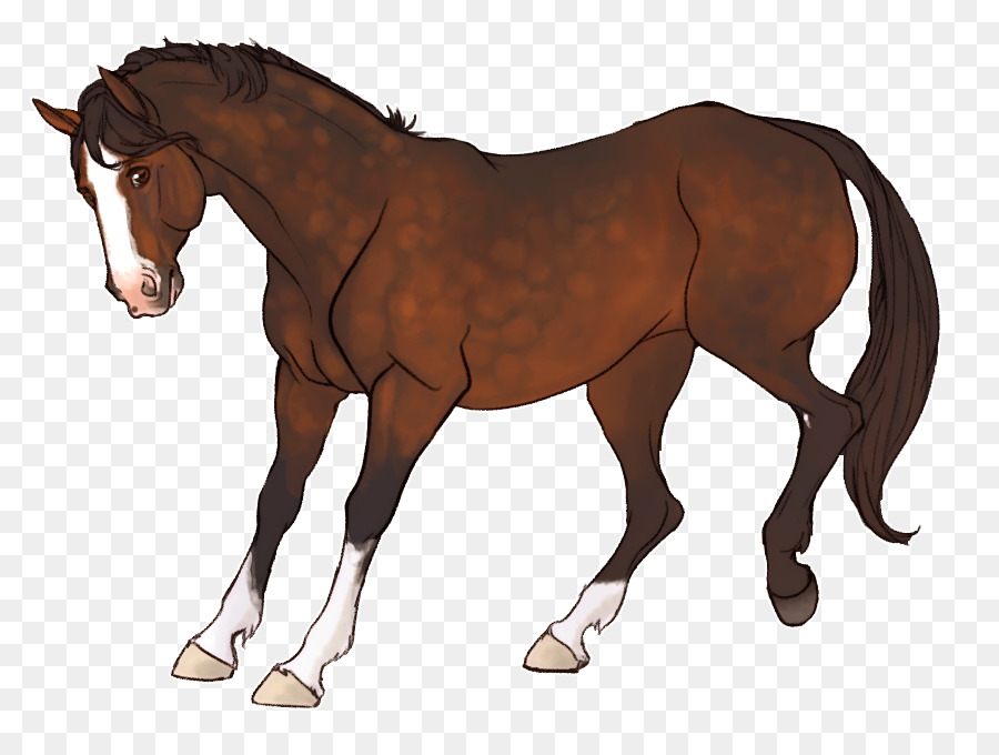 Caballo，Equino PNG