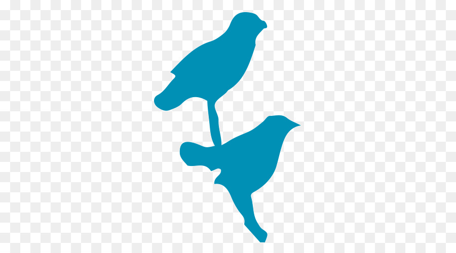 Aves，Silueta PNG