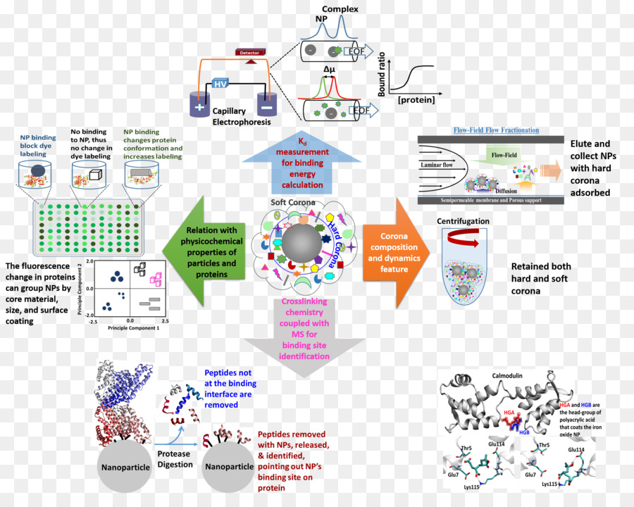 Diagrama，Tecnología PNG