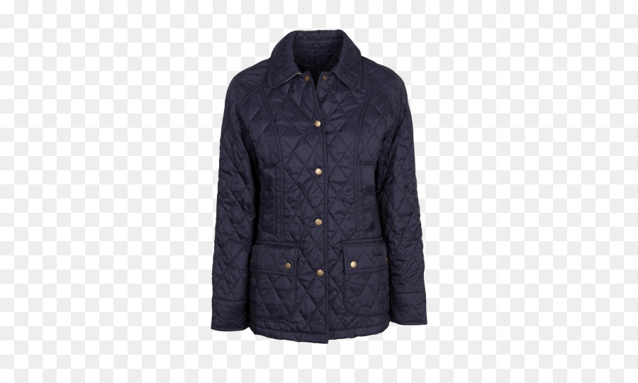 Chaqueta De Invierno，Abrigo PNG