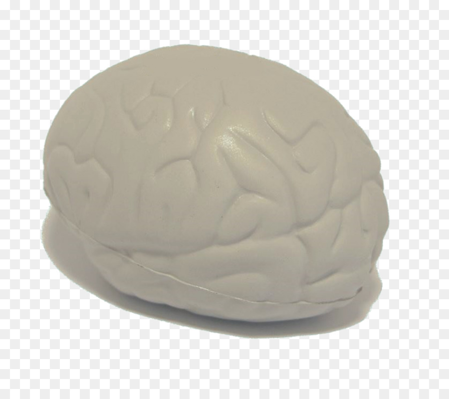 Cerebro， PNG