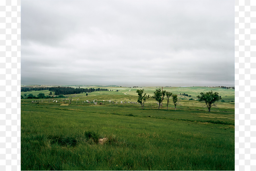 La Comunidad Vegetal，La Reserva Natural De PNG