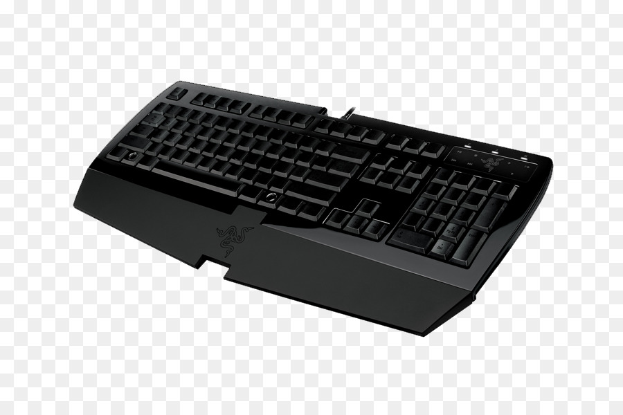 Teclado De La Computadora，Razer Arctosa PNG