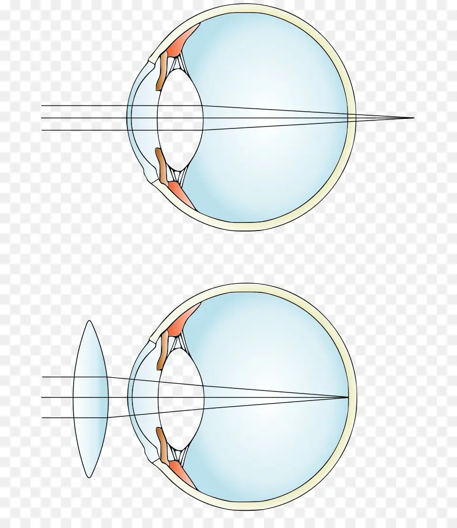 Diagrama Del Ojo，Visión PNG