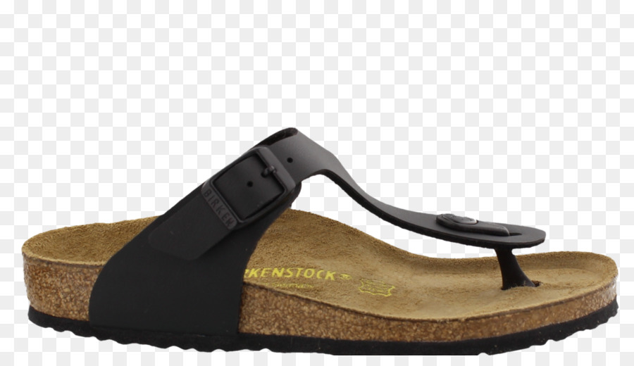 Chancletas，Zapato PNG