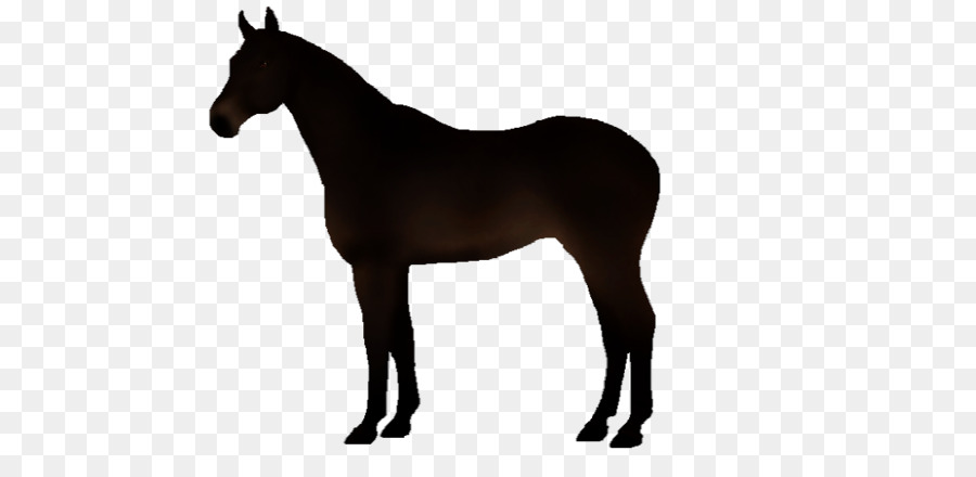 Caballo，Royaltyfree PNG