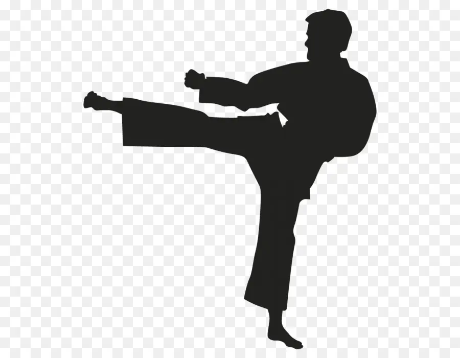 Silueta De Kárate，Artes Marciales PNG