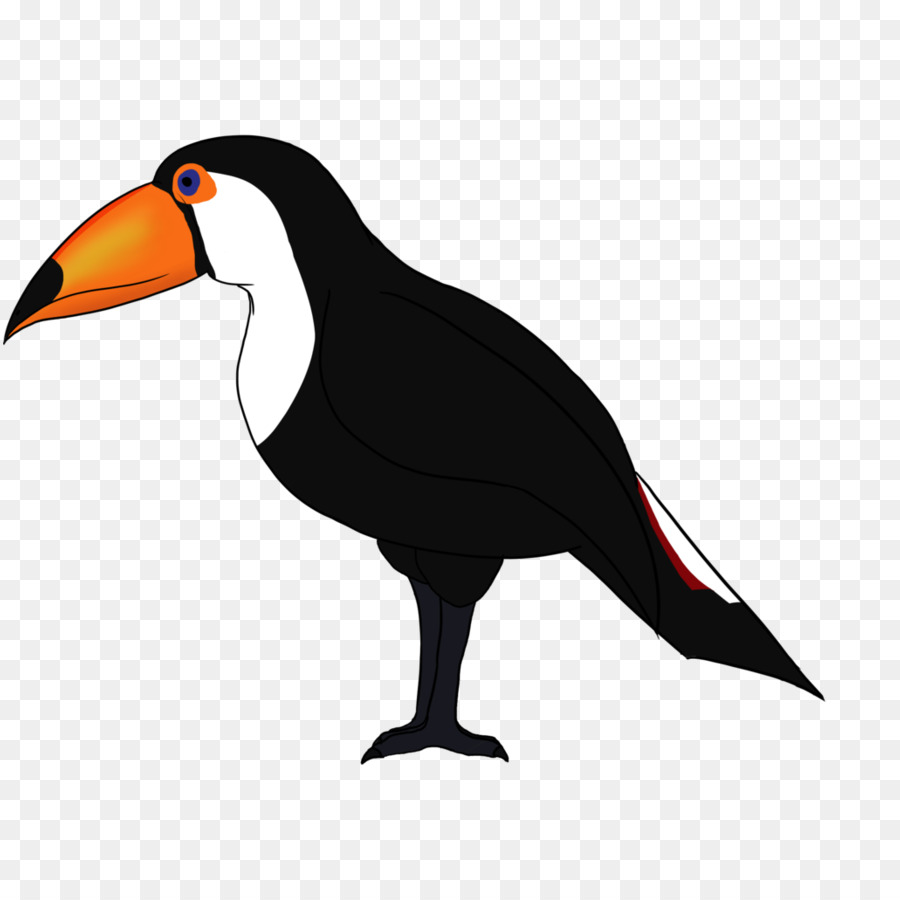 Pingüino，Pájaro PNG