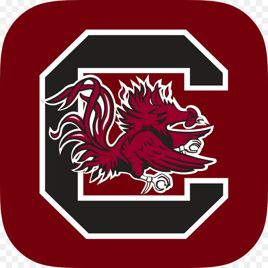 South Carolina Gamecocks De Fútbol，South Carolina Gamecocks De Baloncesto Masculino PNG