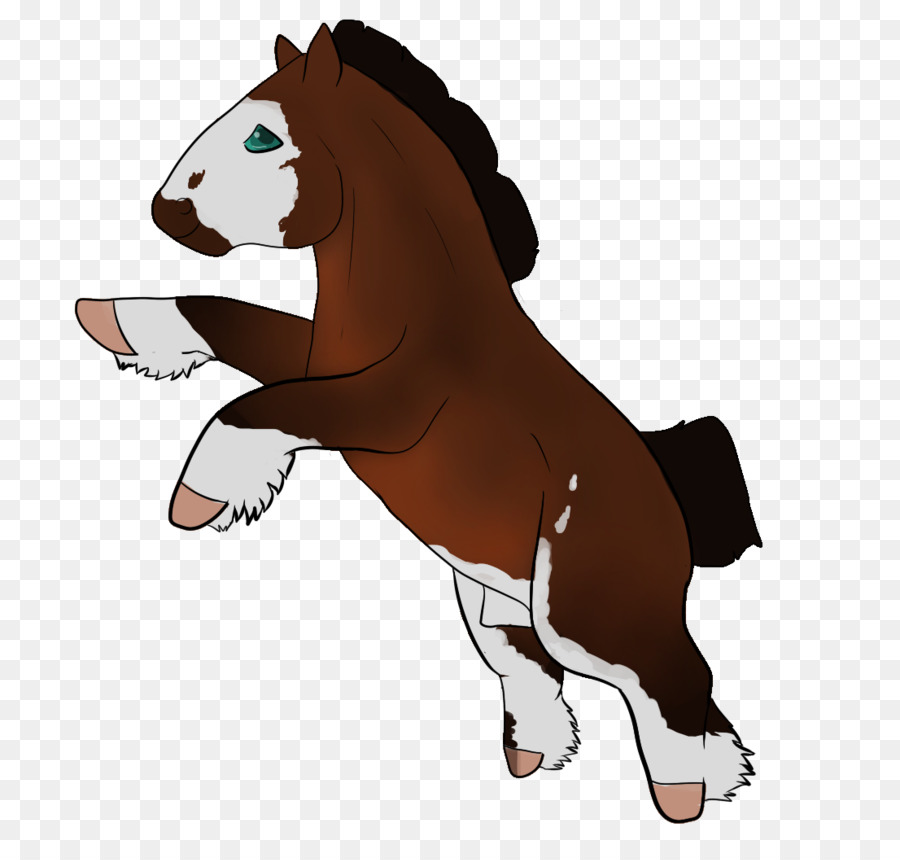 Mustang，Burro PNG