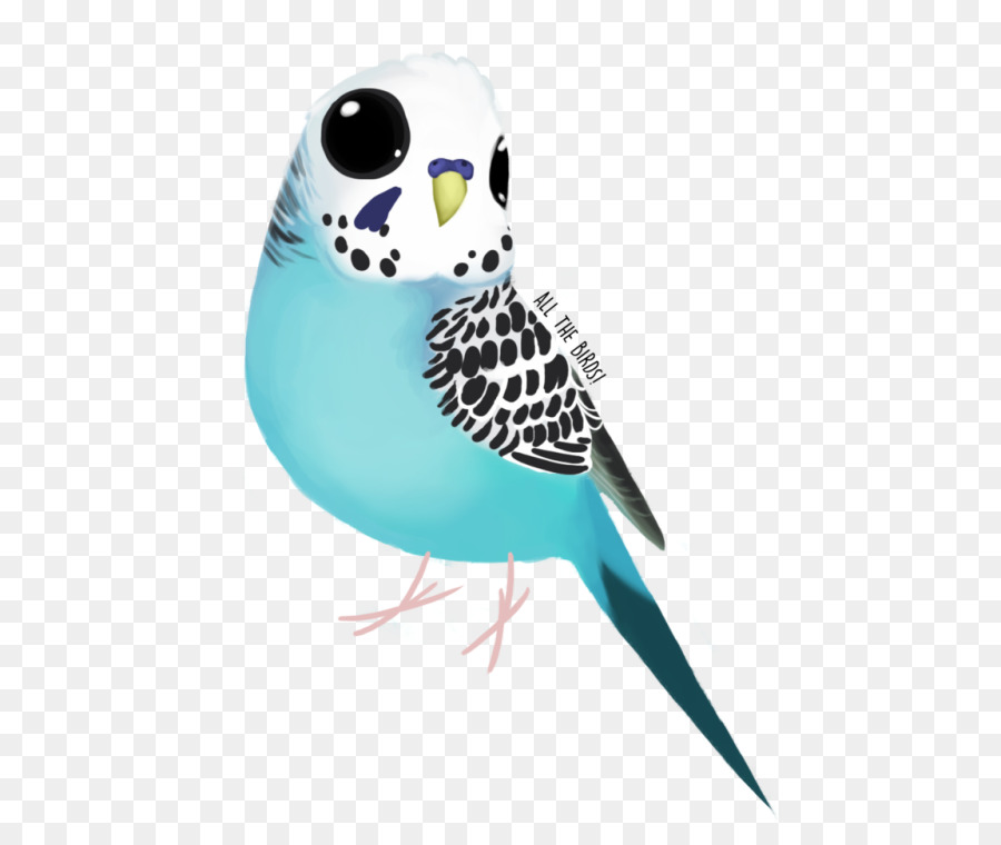 Pájaro，Azul PNG