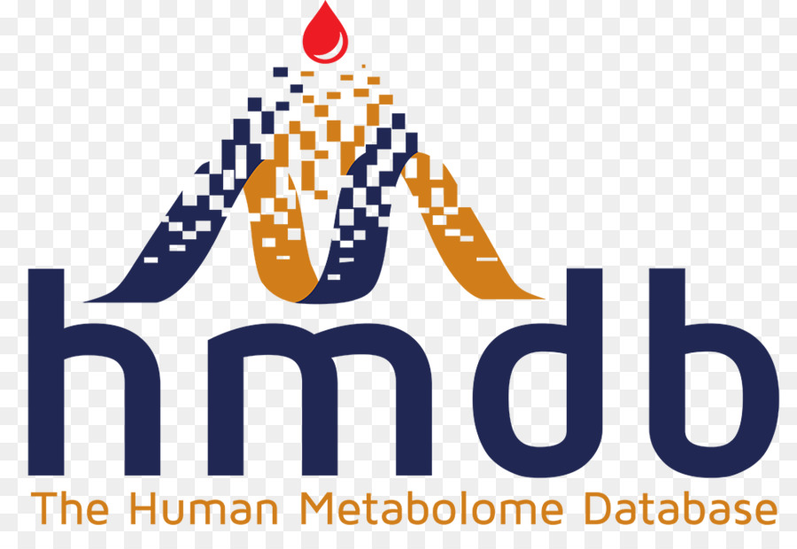 Metaboloma，Base De Datos Del Metaboloma Humano PNG