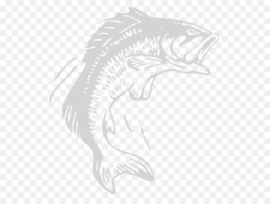 Cricut，La Pesca PNG