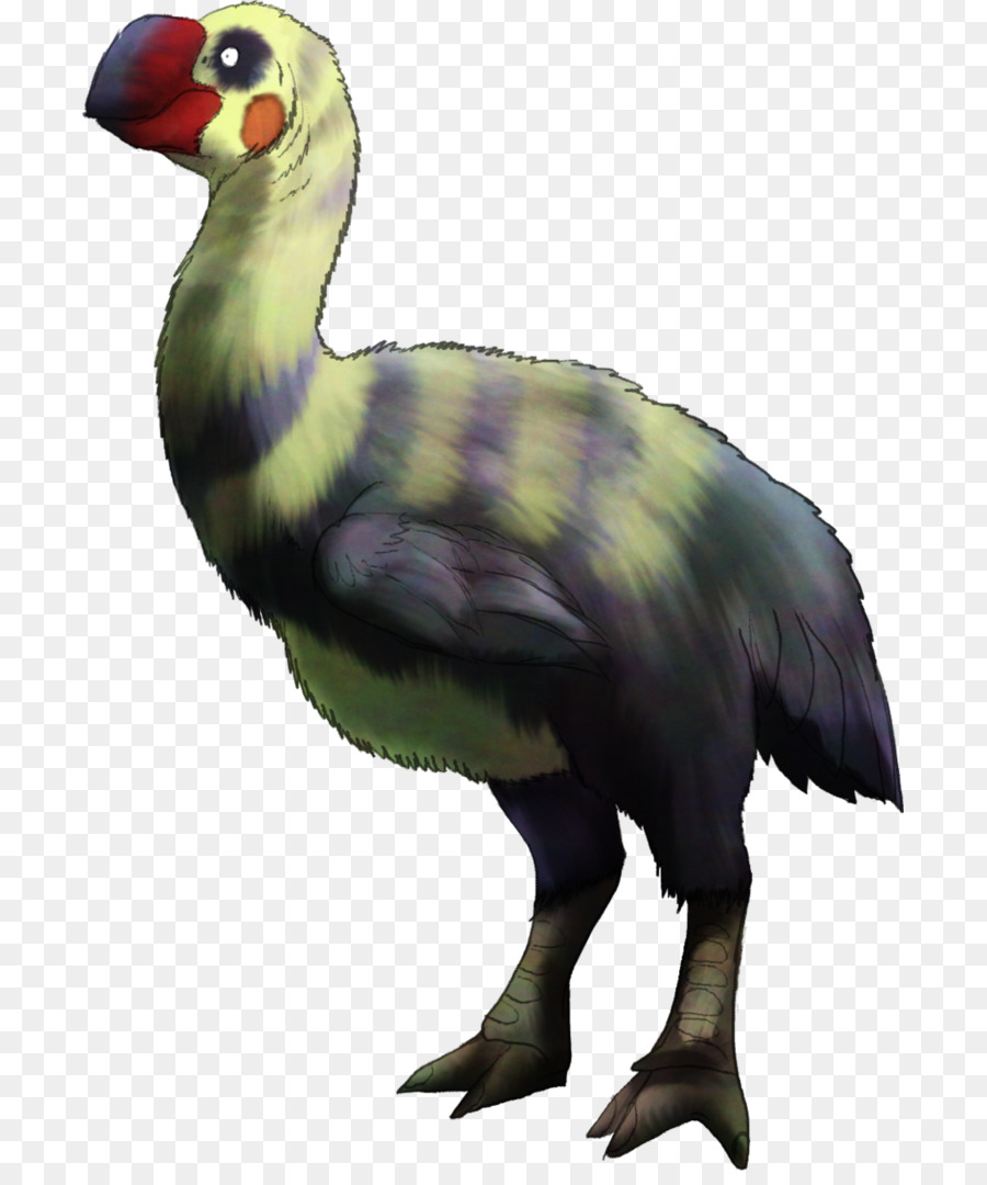 Pato，Ganso PNG