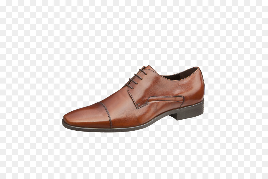 Zapato，Slipon Zapato PNG