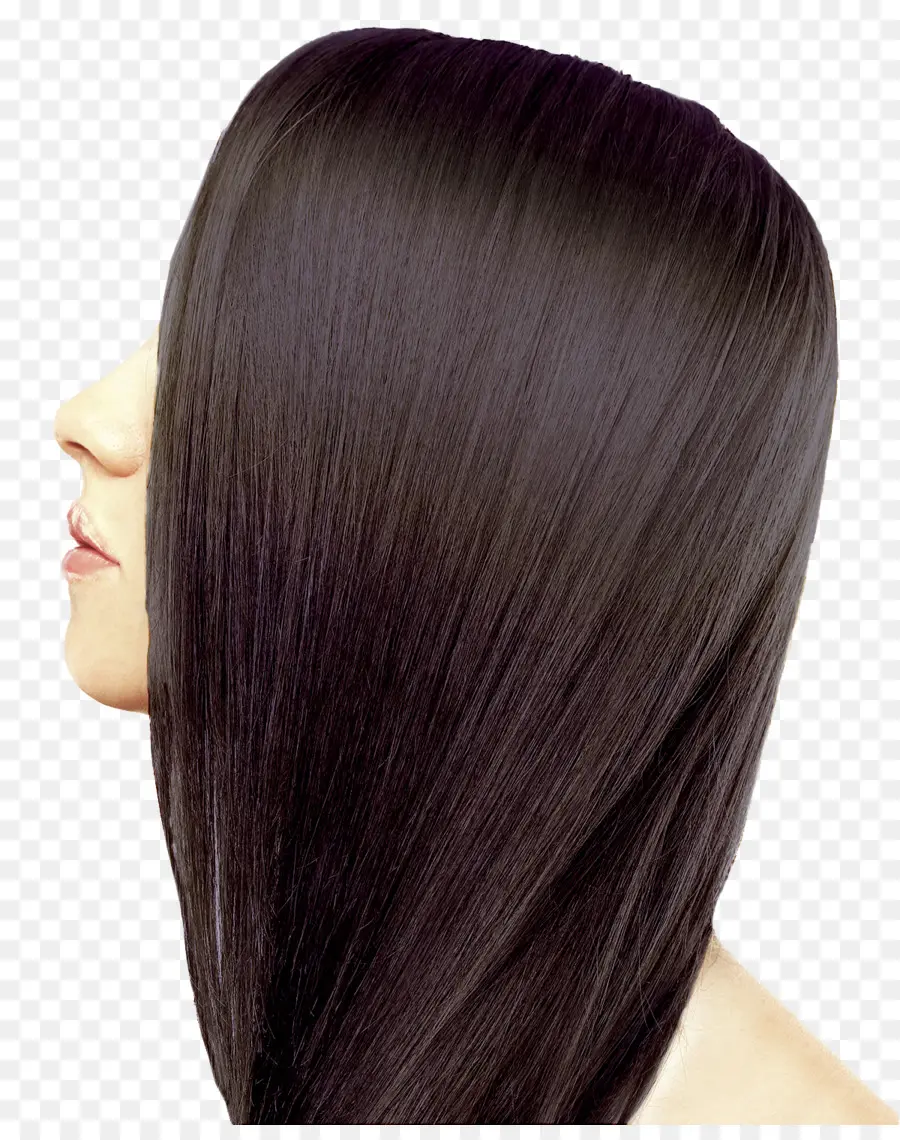 Cabello Negro，Color De Cabello Humano PNG