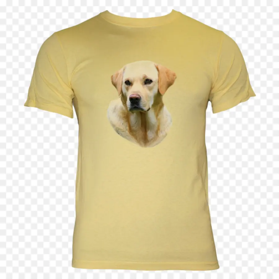 Golden Retriever，Labrador Retriever PNG